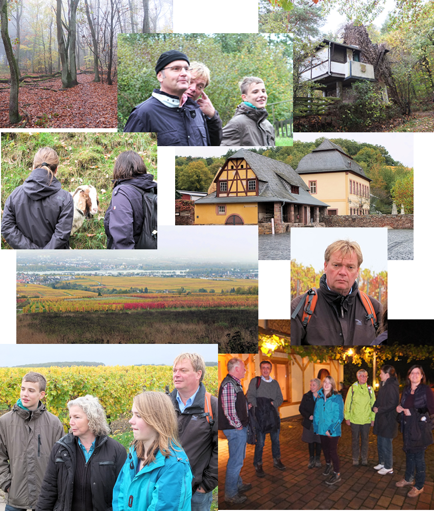 Rheinsteig 2013